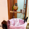 Give Your Bird The Perfect Seat Anywhere – Adjustable Portable Bird Perch Stand