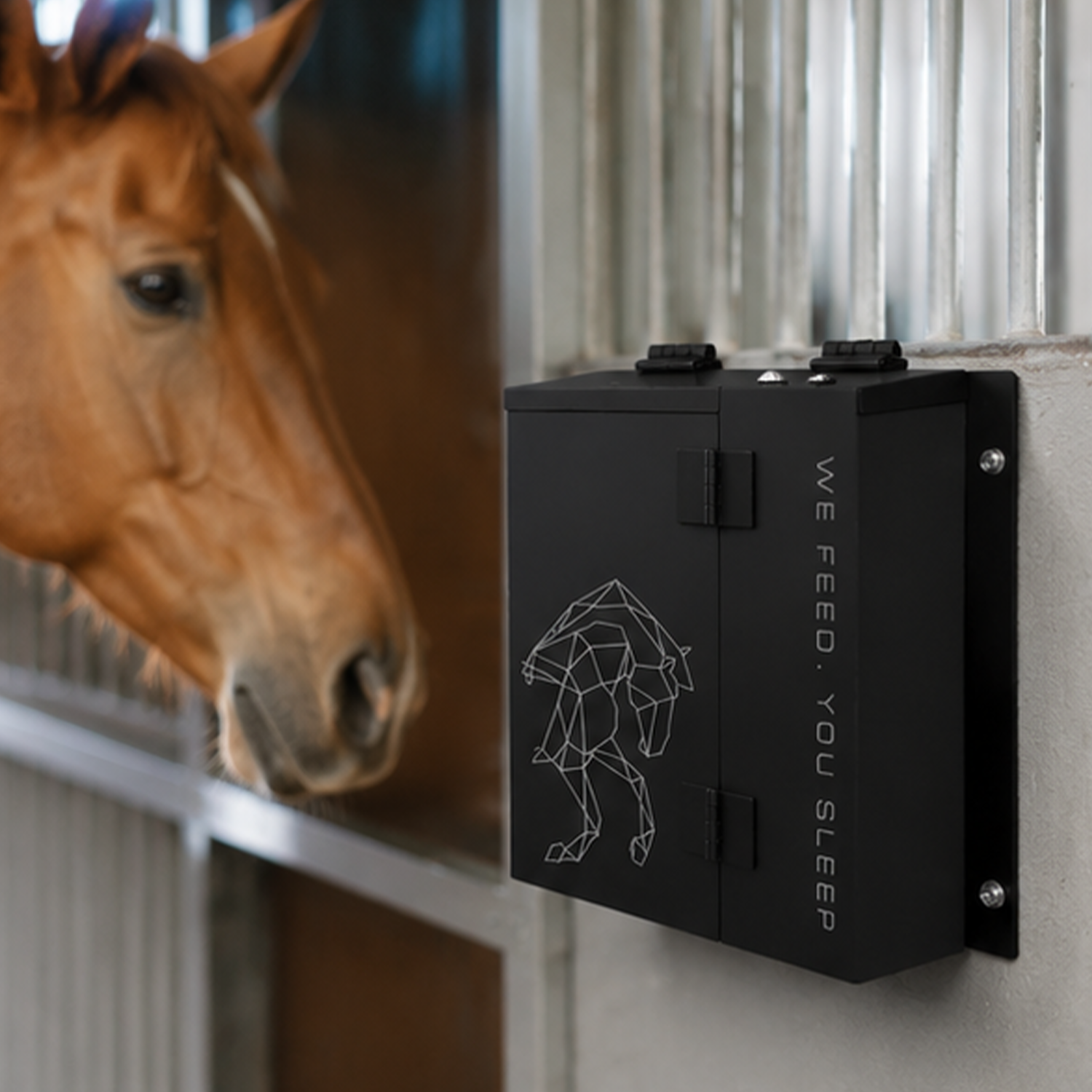 Smart Automatic Horse Feeder